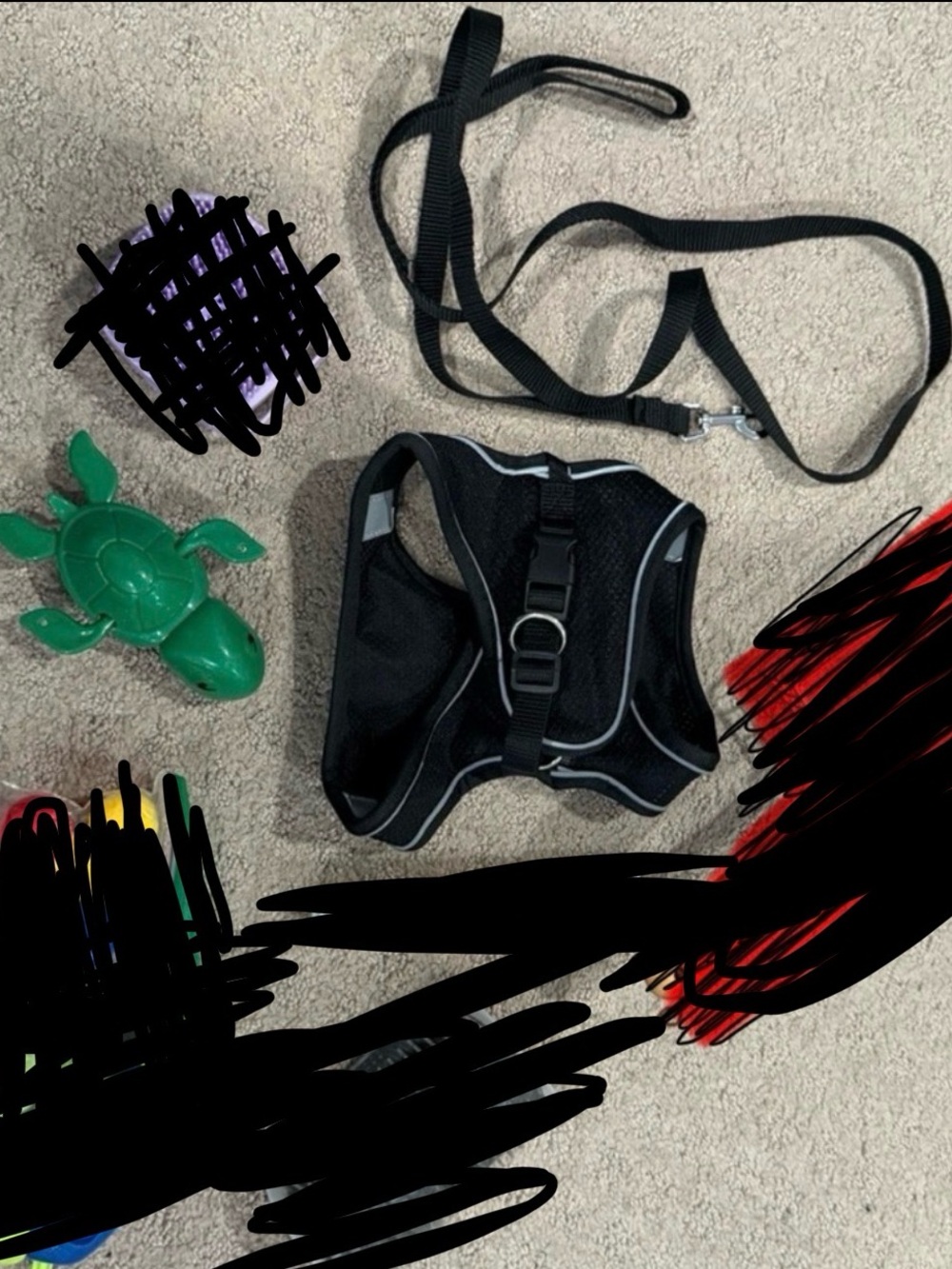 Pet Accessory Bundle with Black Harness and Toys